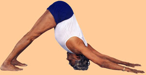 B.K.S. Iyengar